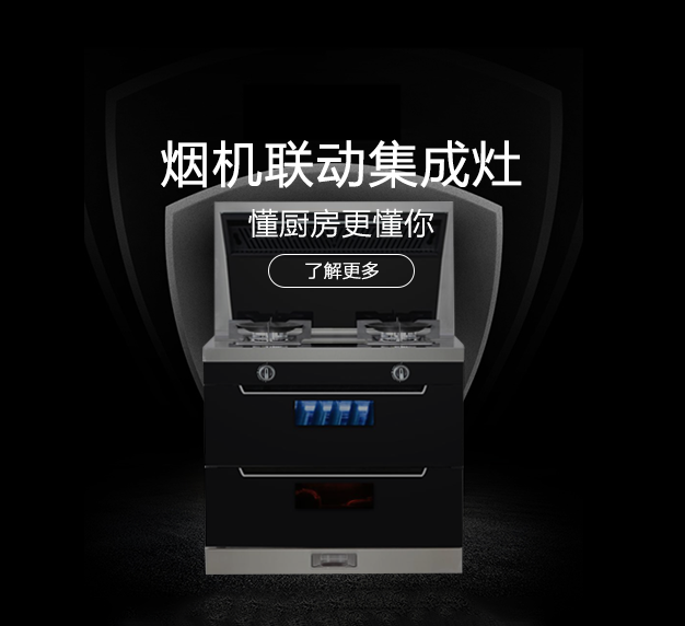 公司所生產(chǎn)銷(xiāo)售的燃?xì)庠罹弋a(chǎn)品，在行業(yè)里始終處于領(lǐng)先地位，也是灶具行業(yè)里比較突出的OEM制造企業(yè)